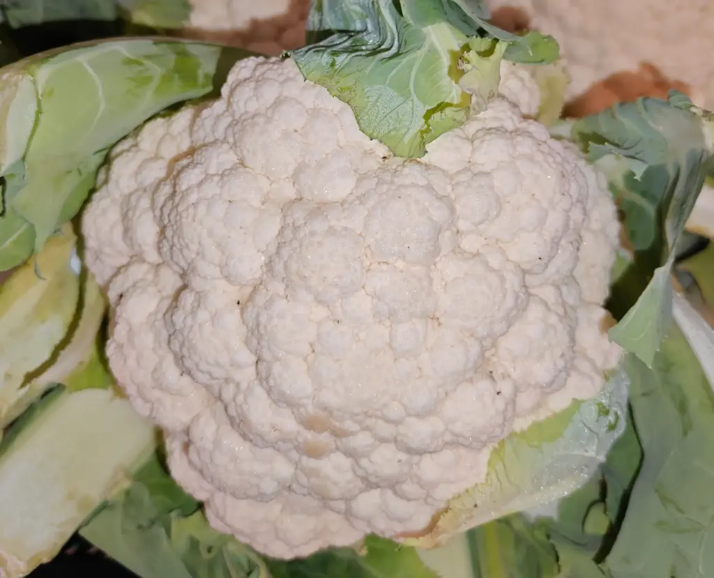 Chou-fleur LCR (600gr)