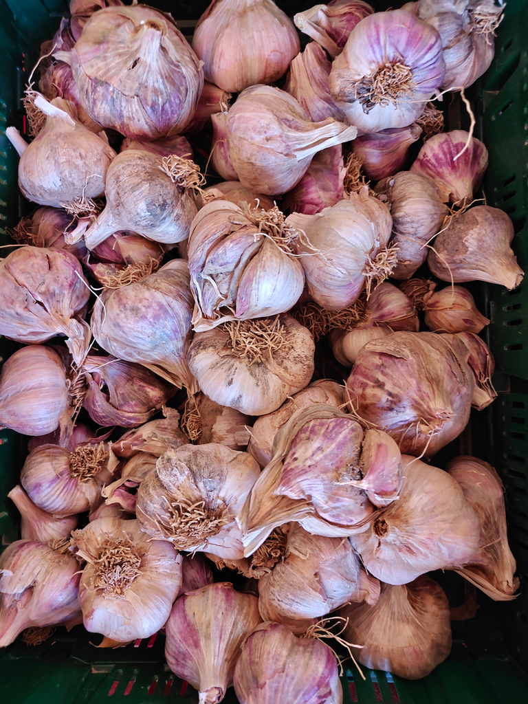 Ail frais LCR (250gr)
