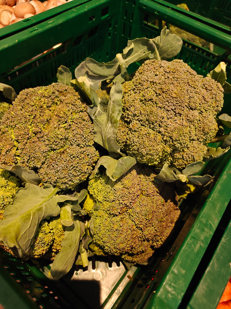 Chou Brocoli LCR (600gr)