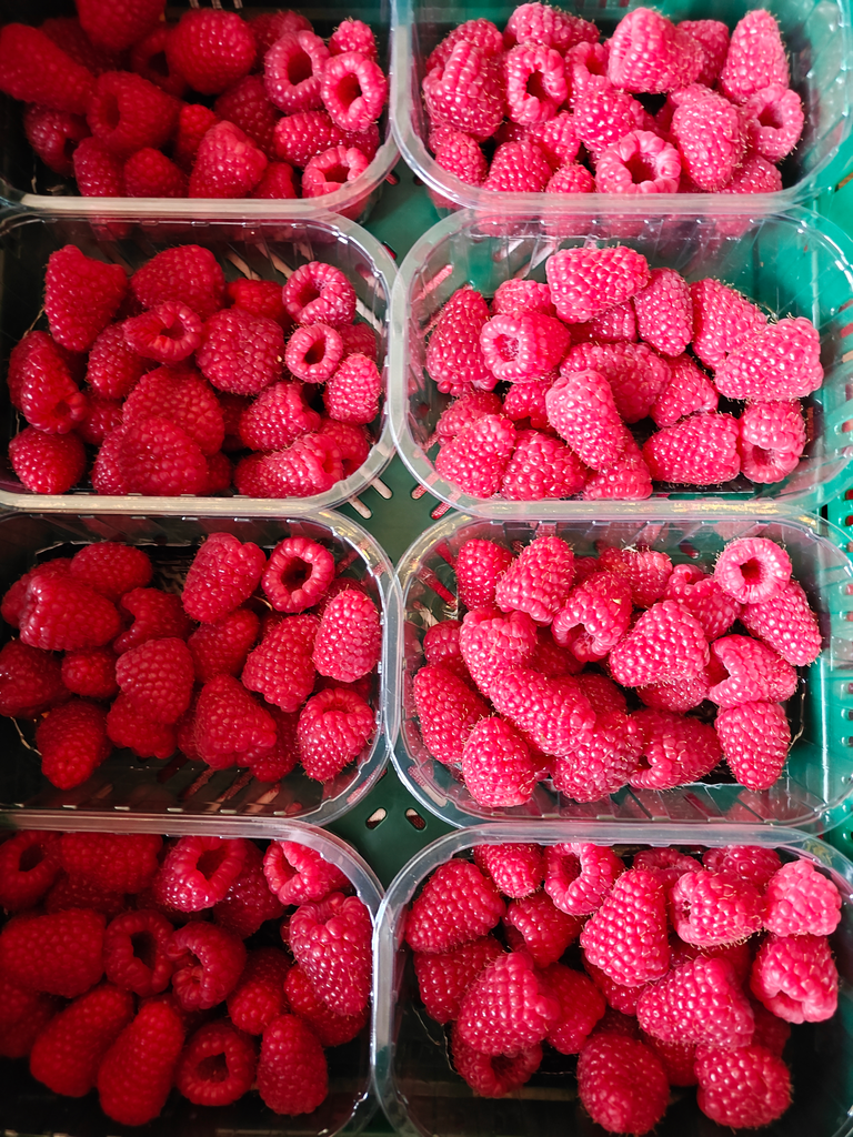 Framboise BIO (125gr)