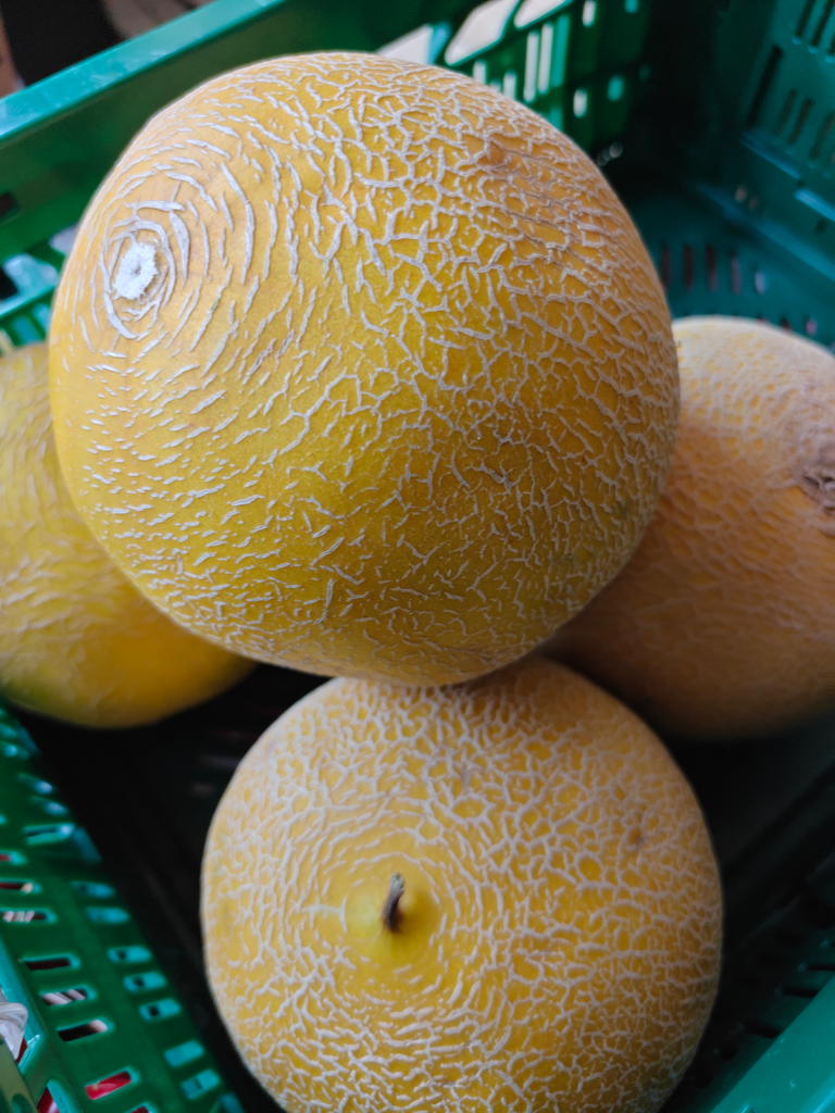 Melon Galia BIO (Pièce)