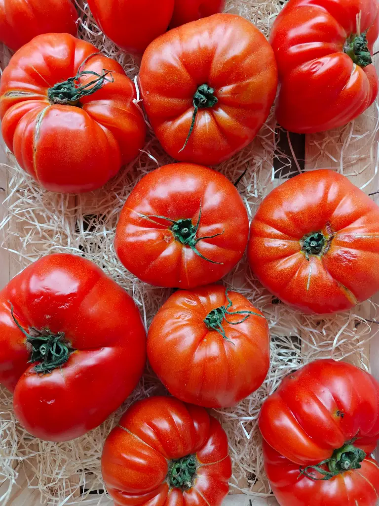 Tomate Marmande BIO (500gr)