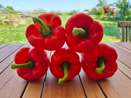 Poivron rouge BIO (200gr)