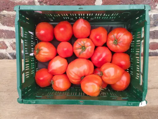 Tomate ancienne Mix BIO (500gr)