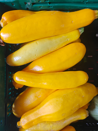 Courgette jaune LCR (500gr)
