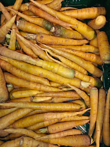 Carotte jaune LCR (600gr)