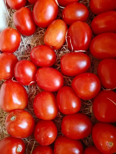 Tomaat San Marzano LCR (500gr)