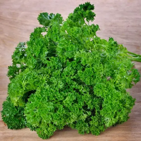 [1.11.1] Curled Parsley