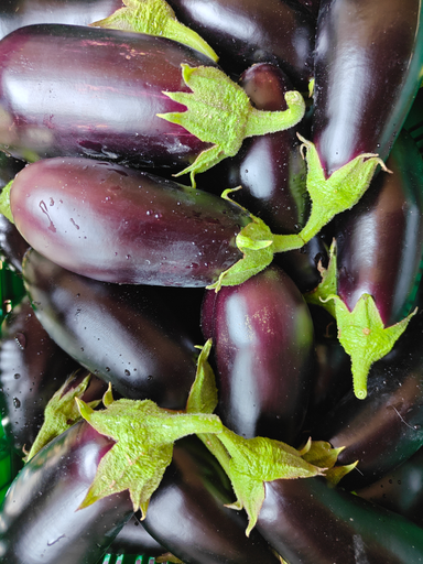 Aubergine noire LCR (300gr)