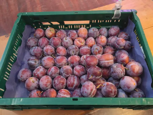Prune rouge BIO (250gr)