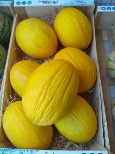Meloen Canari BIO (Stuck +/- 1,3Kg)