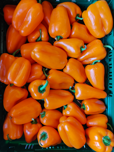 Paprika Tatayoyo BIO (200gr)