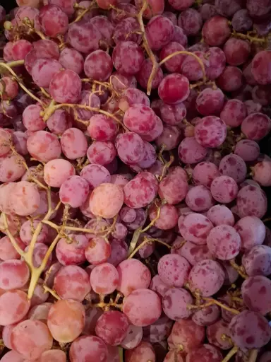 Raisin rouge Red Globe BIO (500gr)