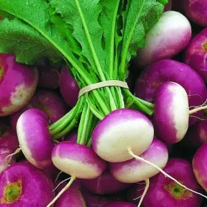 Platte raap uit Milaan (250gr)