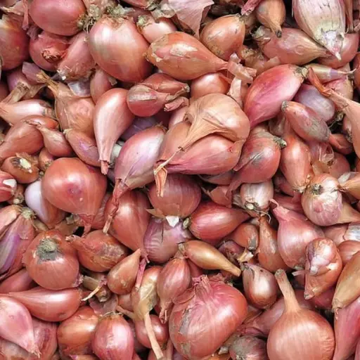 Shallot BIO (250gr)