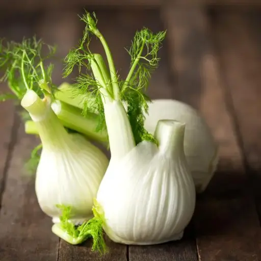 Fennel (Pièce)