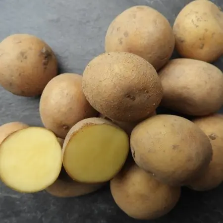 Pomme de terre Twister (500gr)