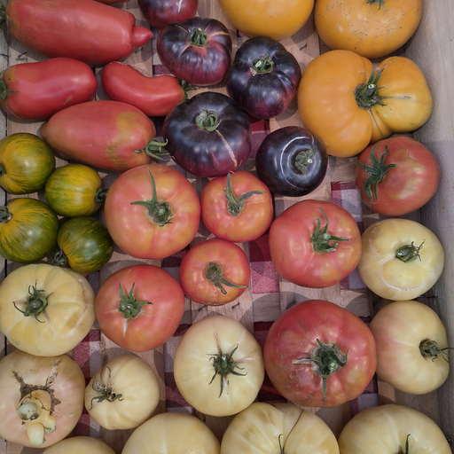 Ancient tomatoes (250gr)
