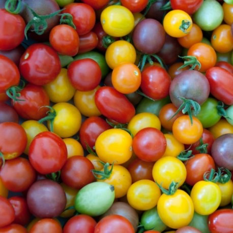 Cherry/Cocktail Tomatoes (Mix 250gr)