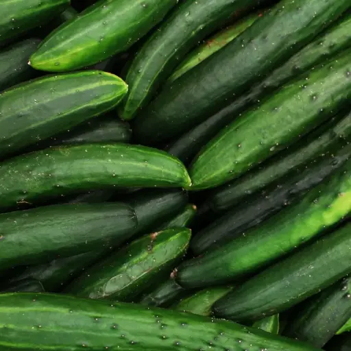 Concombre vert long maraîcher (500gr)