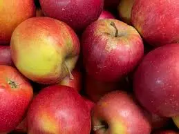 Swing Appel (500gr)