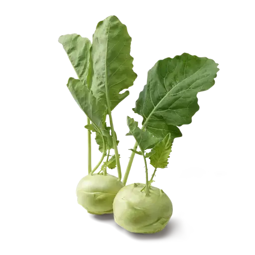 Koolrabi (stuk)