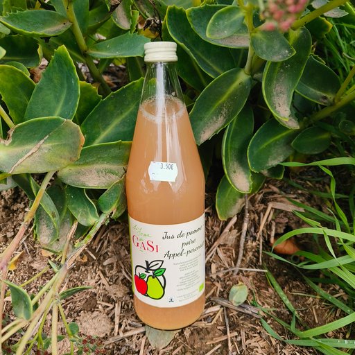 Jus pomme-poire BIO