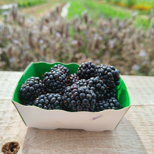 Blackberries (125gr)