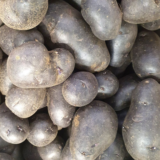 Aardappel - Vitanoir BIO (500gr)