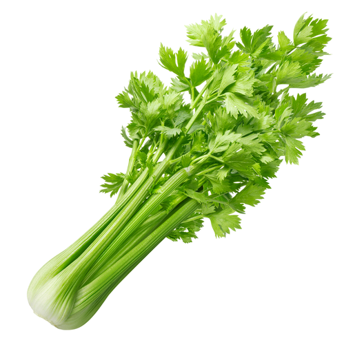 Celery (piece)