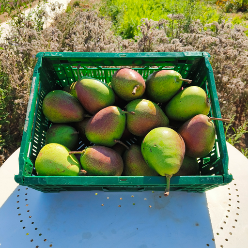 Poire Qtee BIO (500gr)