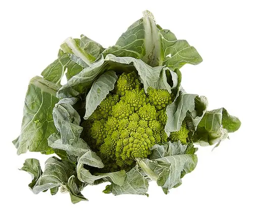 Cabbage - Romanesco BIO (piece)