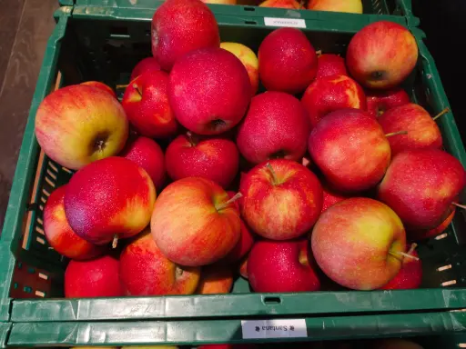 Pomme Jonagored BIO (500gr)