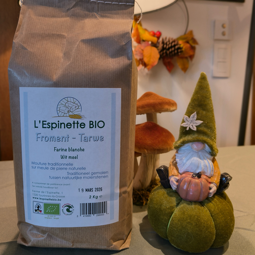 Farine de froment blanche BIO (2kg)