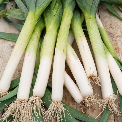 Leek BIO (Bunch/750gr)