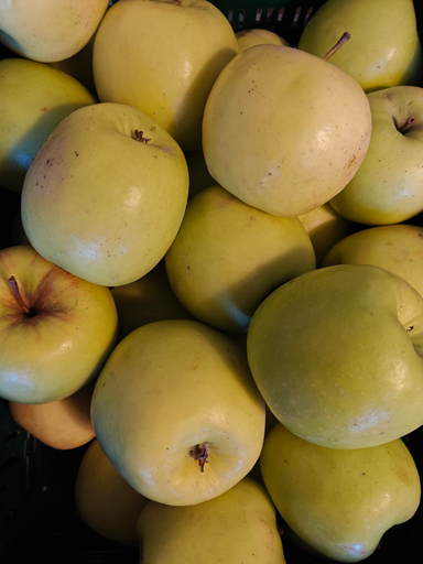 Apple - Greenstar BIO (500gr)