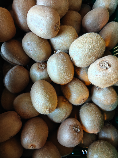 Kiwi vert BIO (500gr)