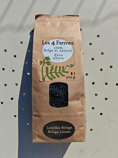 Lentils - beluga (black) lentils BIO (500gr)