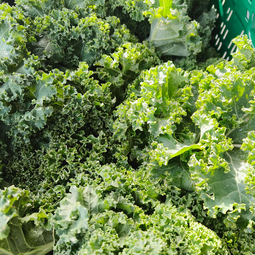 Chou Kale BIO (250gr)