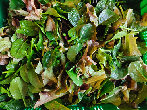Mesclun LCR (200gr)