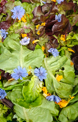 Mesclun LCR (200gr)