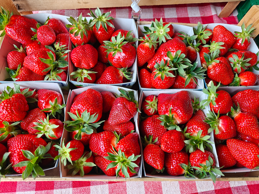 Fraise de Sclimpré (500gr)