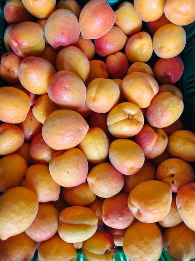 Abricot BIO (250gr)