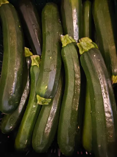 Courgette - groen BIO (500gr)