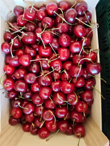 Cerise BIO (300gr)