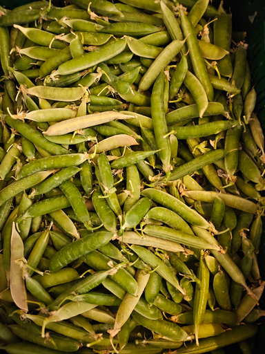 Pois à écosser LCR (500gr)