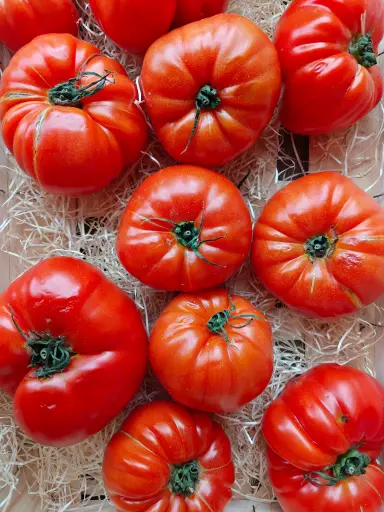 Tomate Marmande BIO (500gr)