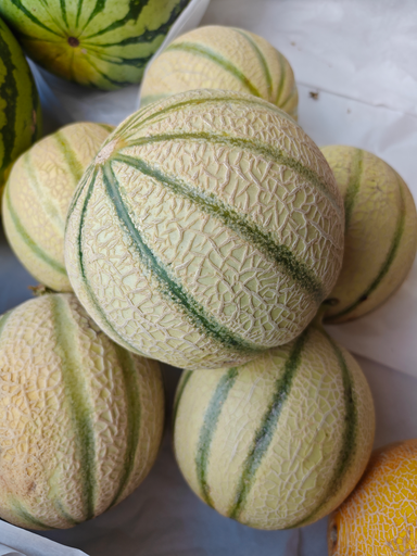 Melon Charentais BIO (Stuck +/- 1Kg)